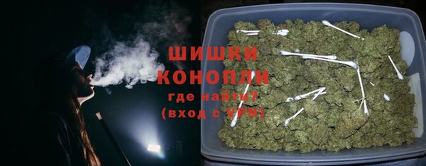 твердый Горняк