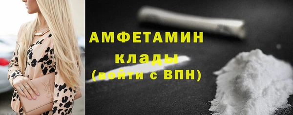 твердый Горняк