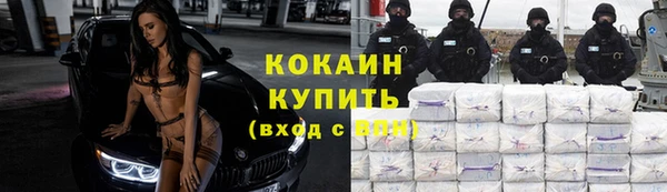 твердый Горняк