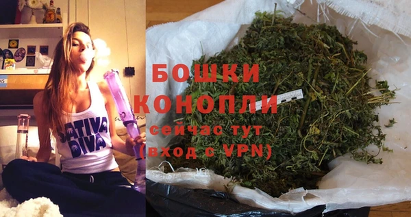 твердый Горняк
