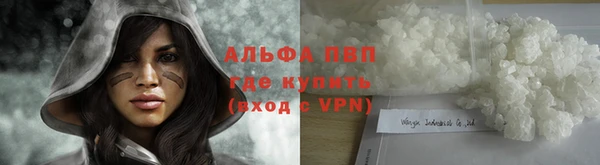 спиды Гусь-Хрустальный