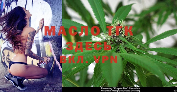 спиды Гусь-Хрустальный