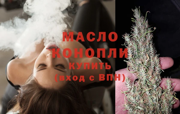 твердый Горняк
