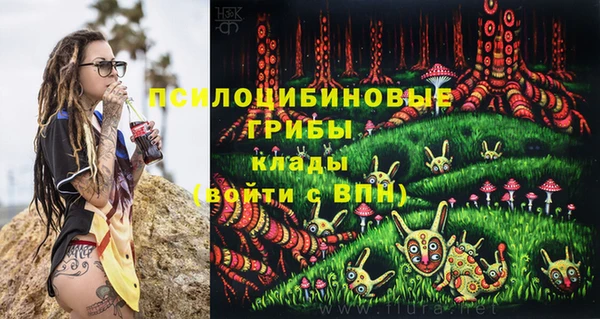 твердый Горняк