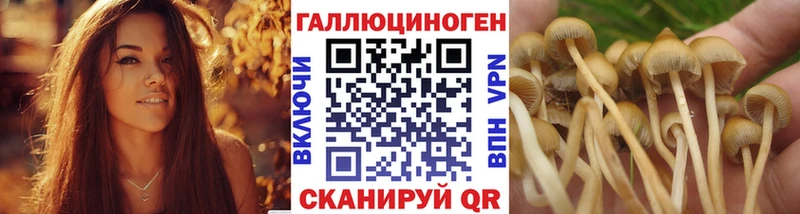 Псилоцибиновые грибы Magic Shrooms  Гусиноозёрск 